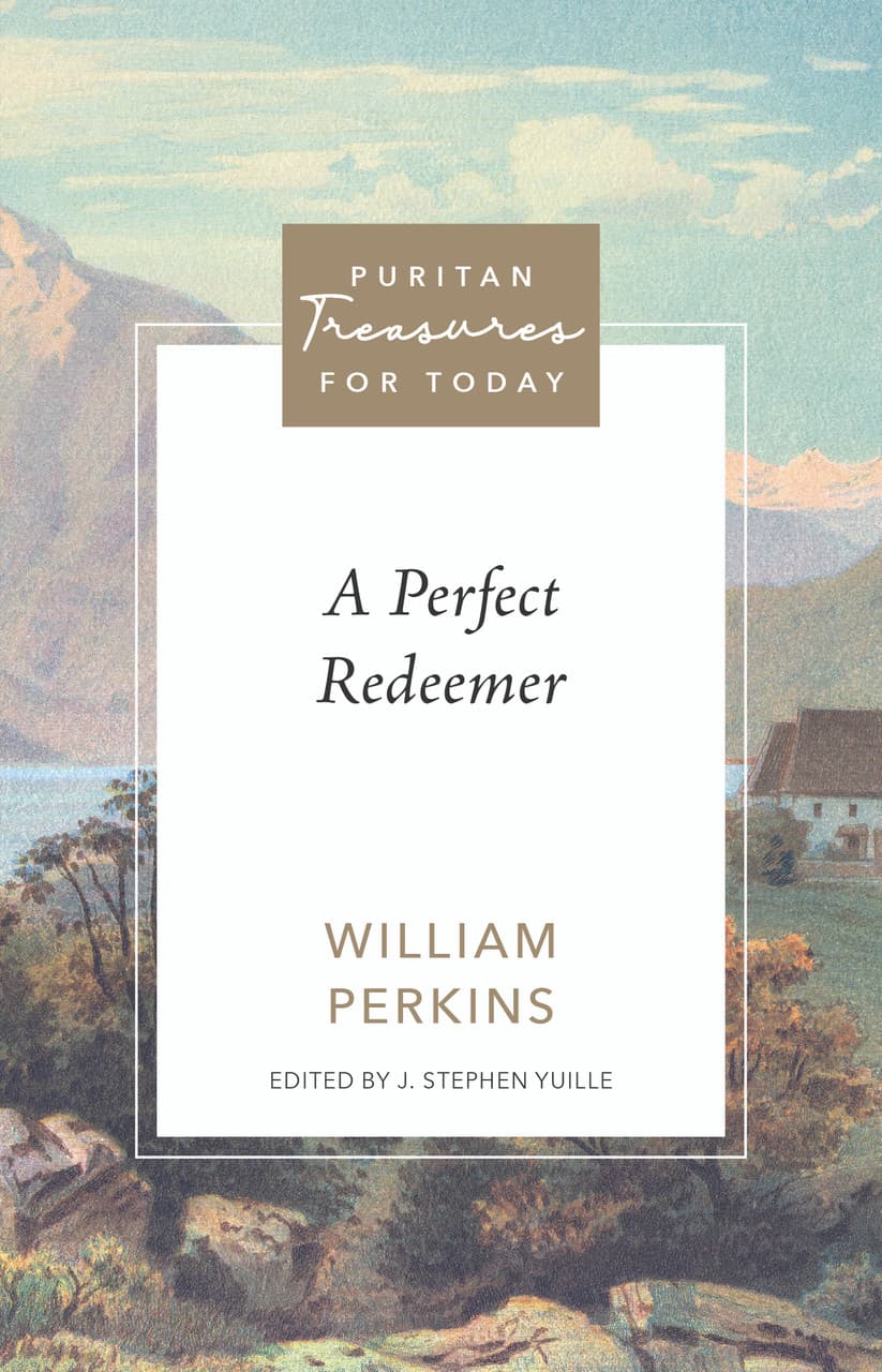 Cover of A Perfect Redeemer