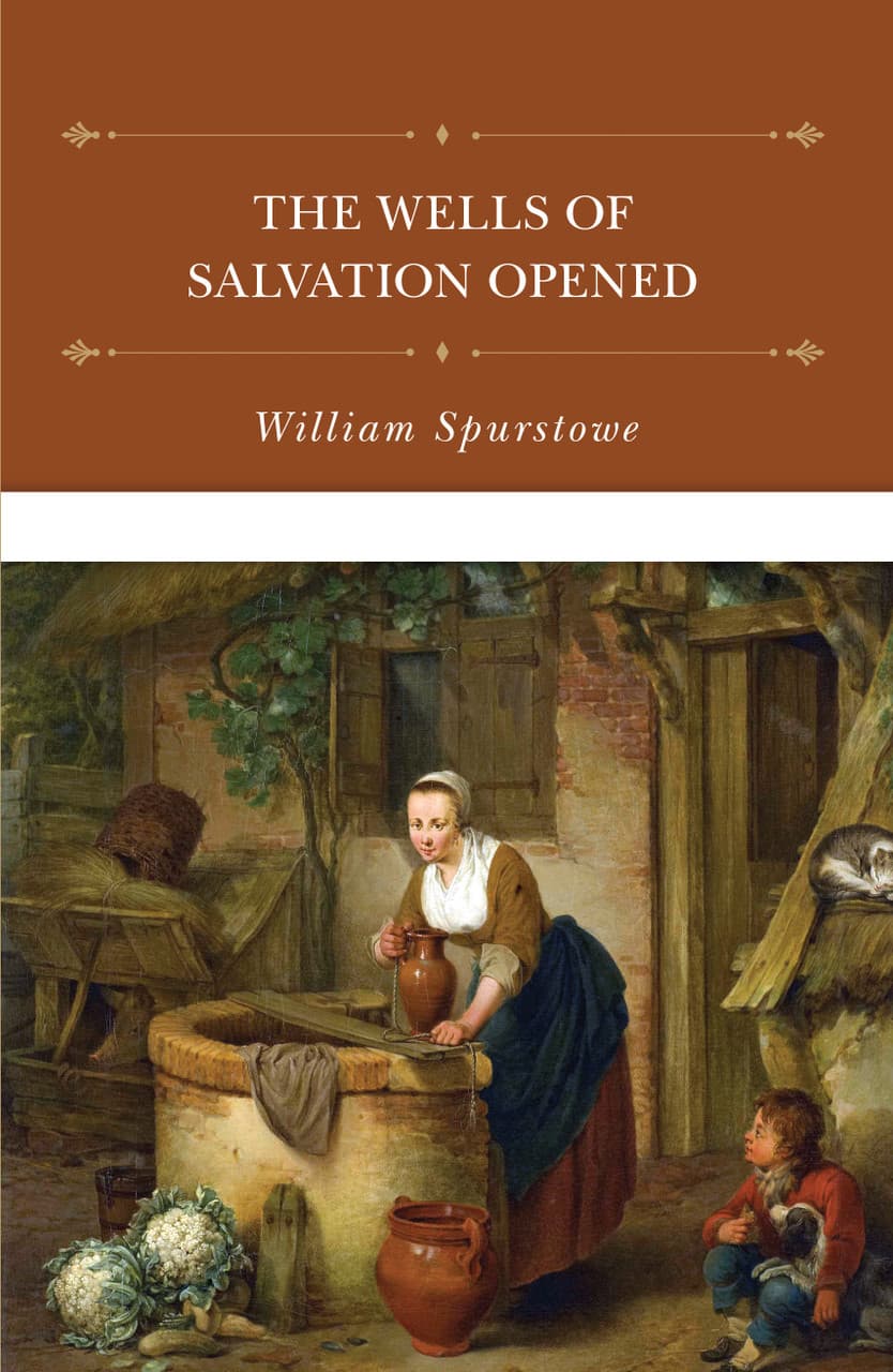 Cover of The Wells of Salvation Opened
